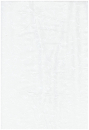 Ranken weiss auf beige, 270 cm breit